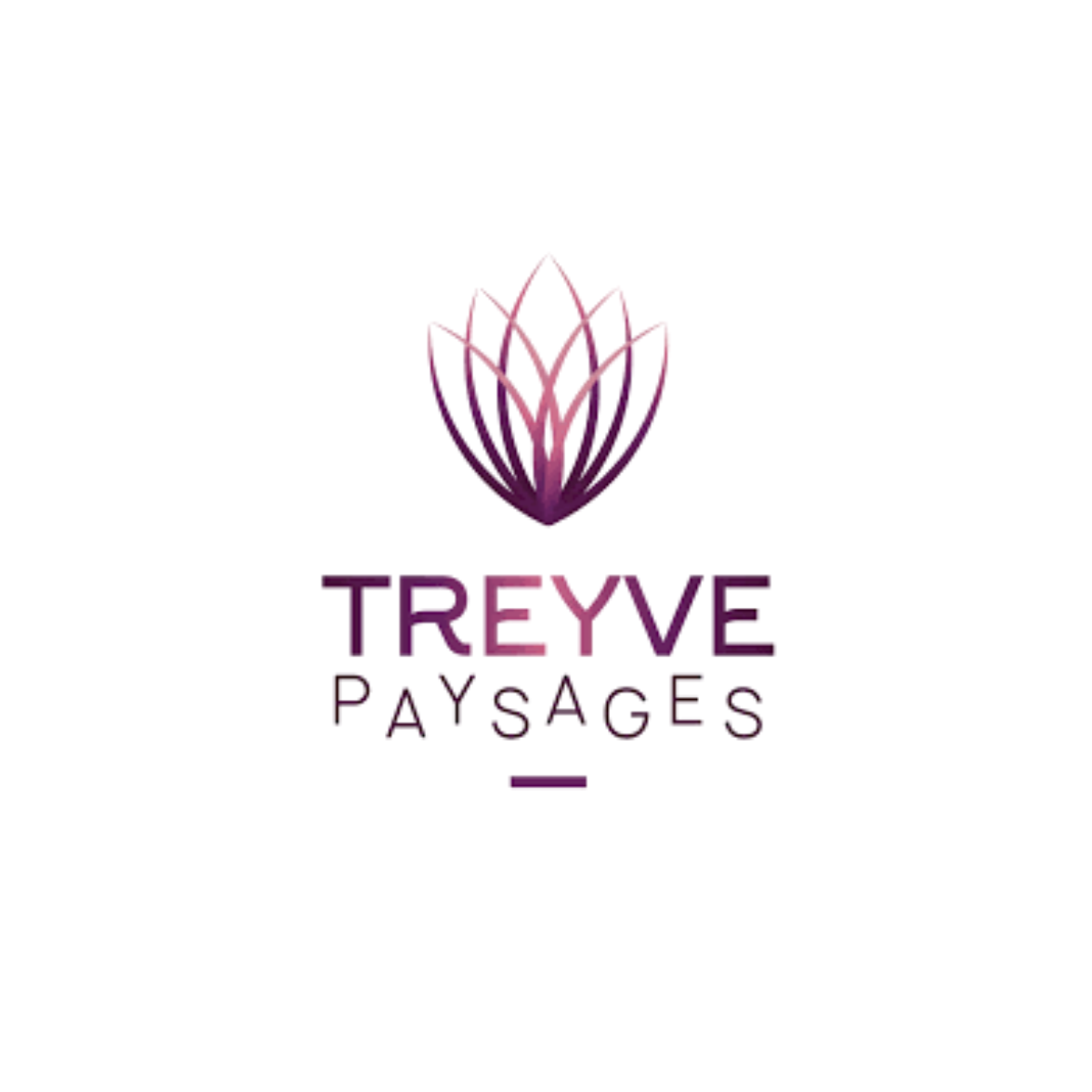Treyve Paysages
